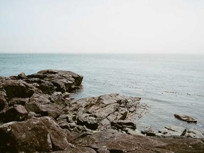 Otago Peninsula gallery photo 1