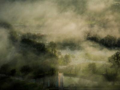 Otago Peninsula gallery photo 4