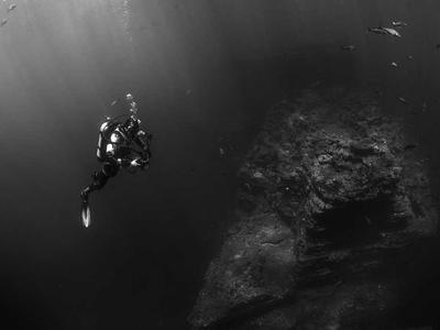 Rainbow Springs Nature Park gallery photo 2