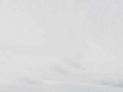 Rangitoto Island gallery photo 2