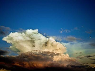 Skyline Rotorua gallery photo 3