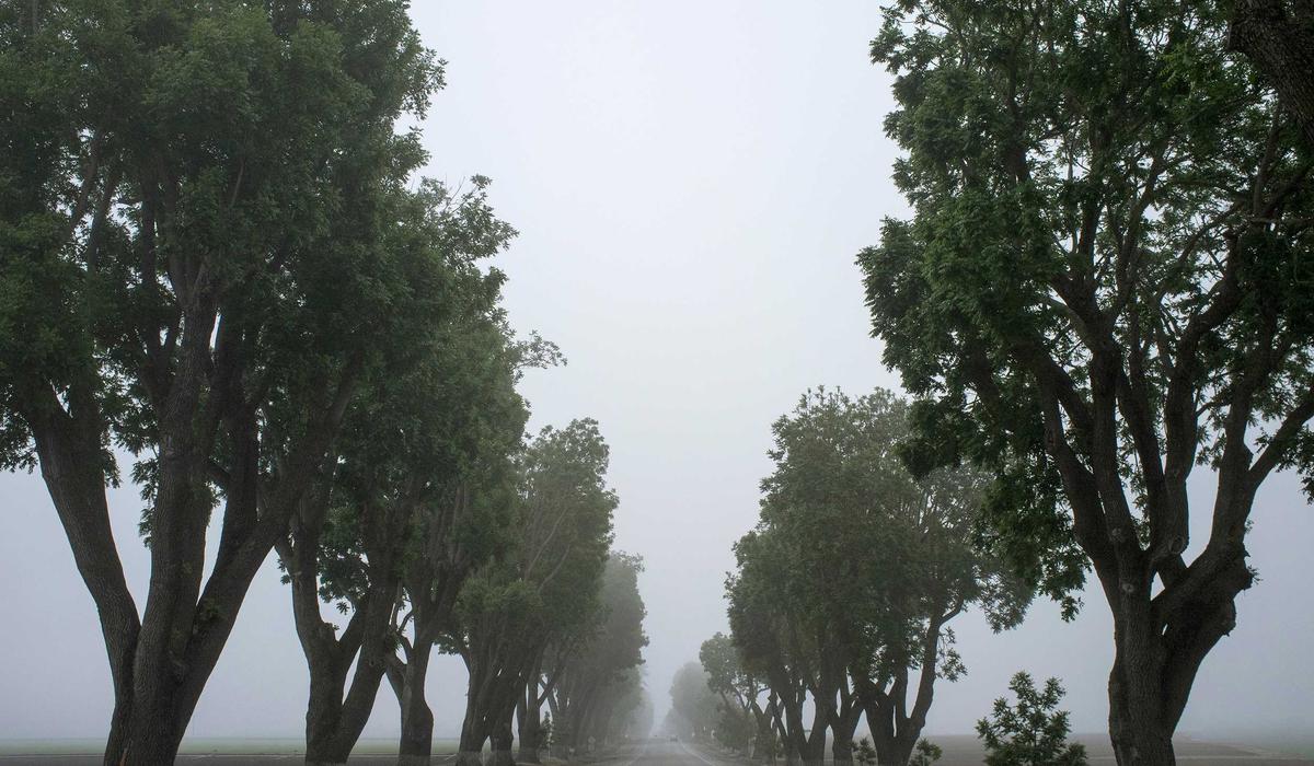 Te Mata Peak