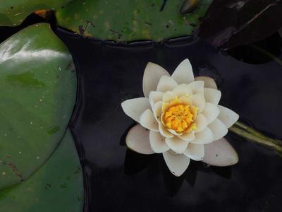 Te Papa Museum gallery photo 1